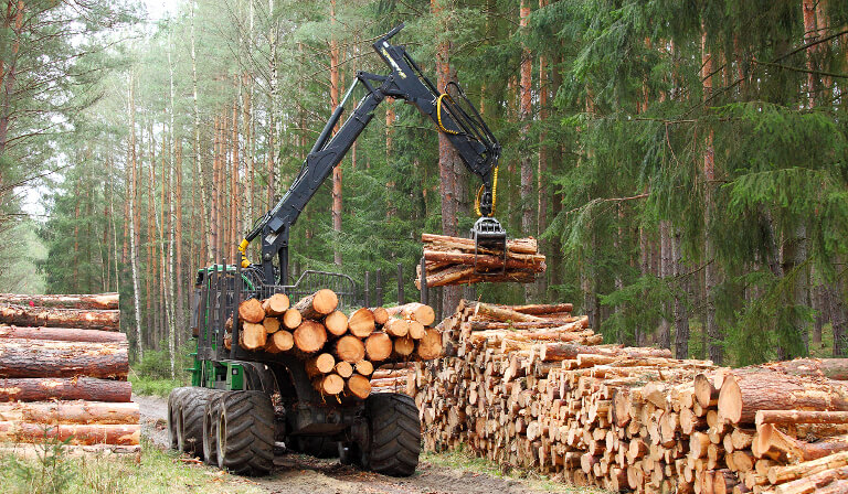 Cutting Through the Competition with Automated Forestry Operations ...